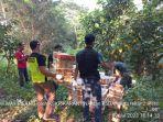 Balai-Karantina-Pertanian-Kelas-1-dan-KSKP-Bakauheni.jpg