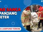 Berita-Lampung-Terkini-18-Februari-2023.jpg