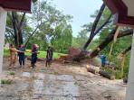 Evakuasi-pohon-tumbang-di-Pemkab-Pesawaran.jpg