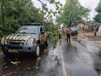 Evakuasi-pohon-tumbang1038.jpg