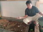 Ibnu-pembudidaya-maggot-di-tulangbawang.jpg