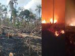 KPH-Pesisir-Barat-Lampung-berhasil-memadamkan-kebakaran-lahan-15-hektare.jpg