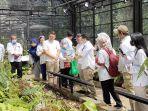 Kebun-Raya-Bogor-kembali-membuka-wahana-Rumah-Kaca-Taman-Nepenthes.jpg