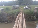 Kondisi-jembatan-di-Kampung-Kalirejo-yang-hanya-menggunakan-2-batang-pohon-kelapa.jpg