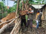 LSD-di-Kecamatan-Banjar-Margo.jpg