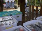 PCPI-soal-pelatihan-petugas-dapur-MBG.jpg