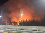 Pengendara-ungkap-kebakaran-lahan-dekat-Tol-Indralaya-Prabumulih.jpg