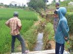 Petani di Lampung Tengah Jadikan Kotoran Sapi Jadi Pupuk Organik