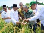 Ptpn-tumpangsari1.jpg