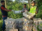 Sebanyak-1280-ekor-burung-berbagai-jenis-digagalkan.jpg