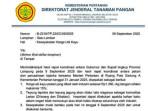 Soal Surat Kesepakatan Harga Singkong, Pengamat: Perlu Regulasi Jelas, Awas Jadi Boomerang!