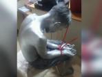 Rekam Jejak Agus Manusia Silver yang Tikam Selingkuhan Istri, Residivis Pemerasan