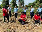 Warga-binaan-Lapas-Kelas-IIB-Gunung-Sugih-Lampung-Tengah-panen-singkong.jpg