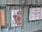 anjing-belgian-malinois-diduga-milik-bima-aryo.jpg