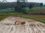 bajak-sawah_20180711_095220.jpg