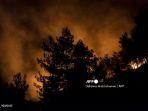 cuaca-panas-ekstrem-di-kanada-ratusan-orang-tewas-dan-lebih-dari-100-hutan-terbakar-1.jpg