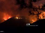 cuaca-panas-ekstrem-di-kanada-ratusan-orang-tewas-dan-lebih-dari-100-hutan-terbakar.jpg