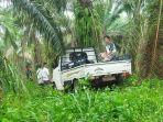 ditinggal-di-kebun-sawit.jpg
