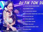 download-lagu-dj-tiktok-mp3-tahun-2020-video-populer-gudang-lagu-dj-remix-buat-dugem.jpg