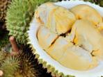 durian-siak_20150719_121234.jpg