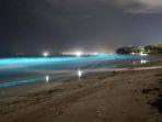 fenomena-bioluminescene.jpg