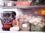 freezer-kulkas.jpg