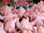 harga-daging-ayam-jelang-idul-adha-di-pasar-pasir-gintung.jpg