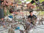 jaga-ekosistem-bawah-laut-tegal-mas-resort-tanam-250-bibit-terumbu-karang.jpg