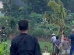 7 Ekor Kawanan Gajar Liar Masuki Perladangan Warga di Lampung Timur
