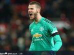 kiper-manchester-united-dan-timnas-spanyol-david-de-gea.jpg