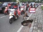 lubang-di-pdam.jpg