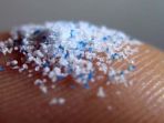 mikroplastik_20180406_113032.jpg
