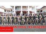 pengumuman-thls-satpol-pp-lampung-selatan.jpg