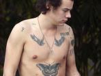 personel-one-direction-harry-styles_20150830_235728.jpg