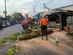 pohon-berukuran-besar-di-Lingkungan-Sukamenanti.jpg