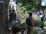 pohon-tumbang-metro_20160202_153922.jpg