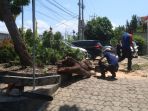 pohon-tumbang_20180903_173018.jpg