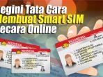 smart-sim-online.jpg
