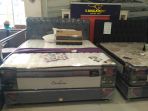 springbed-kangaroo_20170402_184340.jpg