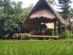 tempat-wisata-di-bandung-sapu-lidi-hadirkan-suasana-cafe-resort-dan-gallery-seru.jpg
