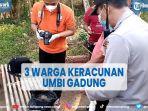 tiga-warga-tulungagung-keracunan-umbi-gadung-satu-meninggal-dunia.jpg