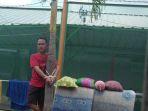 utang-puluhan-juta-rupiah-napi-diikat-petugas-rutan-di-pohon-1-napi-lain-berkomplot-dengan-petugas.jpg