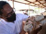 vaksin-PMK-ke-hewan-ternak-kambing-dan-domba.jpg