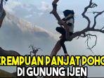 viral-video-perempuan-panjat-pohon-di-gunung-ijen.jpg