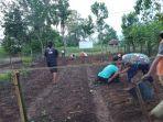 warga-wonomarto-galakkan-pekarangan-pangan-lestari.jpg