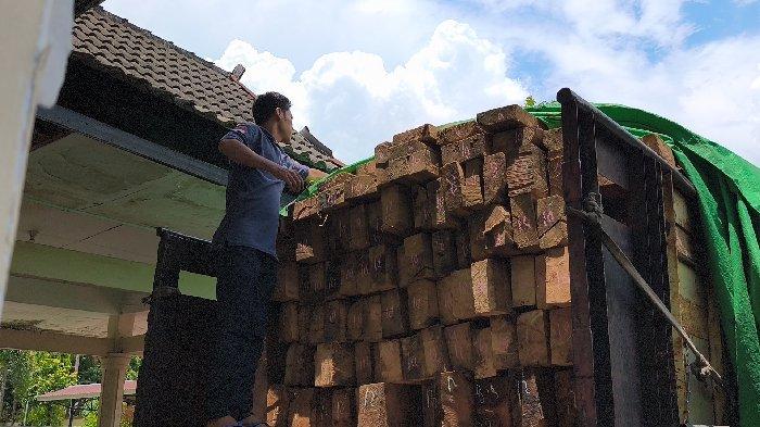 Penyeludupan 4 Truk Kayu dari Sumbawa Berhasil Digagalkan, DLHK Dalami Aktor yang Terlibat