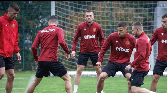 Timnas Bulgaria