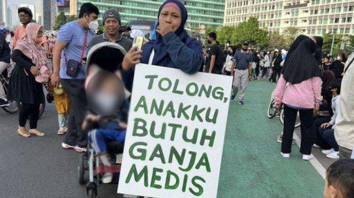 MK Tolak Permohonan Uji Materi Legalisasi Ganja untuk Keperluan Medis, Sebut Tidak Beralasan Hukum