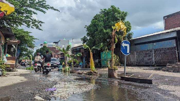 JALAN RUSAK - Pengendara melintas di Dusun Bangket Dalem, Desa Kediri Selatan, Kecamatan Kediri, Lombok Barat yang jalanannya ditanami pohon pisang karena berlubang.