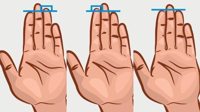 Tes Kepribadian: Panjang Jari Tanganmu Ternyata Dapat Ungkapkan Banyak Hal dalam Dirimu